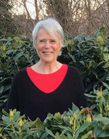 Conny Rokamp